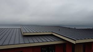 Steel Roofing in Cheviot, OH